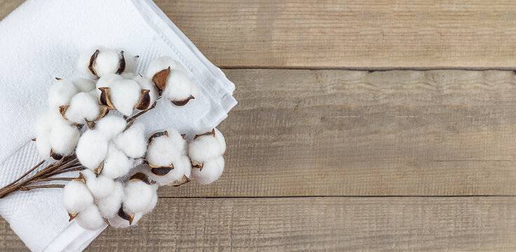 Cotton. A white towel and cotton lie on a wooden background. Copy space. Banner