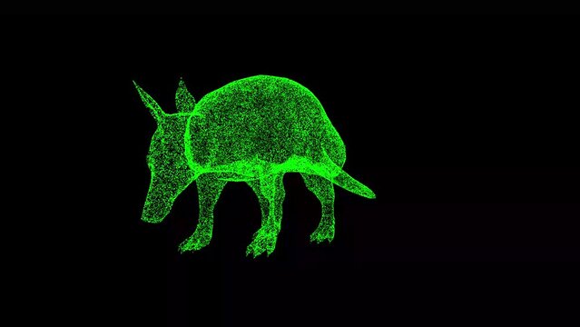 3D Armadillo rotates on black background. Object made of shimmering particles. Wild animals concept. Protection of the environment. For title, text, presentation. 3d animation 60 FPS