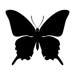 Butterfly Silhouette isolated on white background. Vector illustration