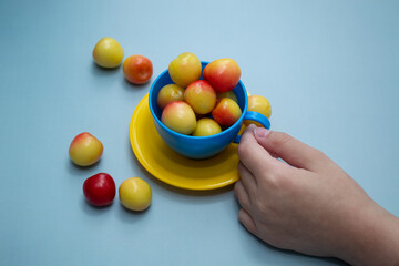 sweet yellow cherry in a yellow-blue cup