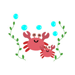 crab seaweed composition elements vector