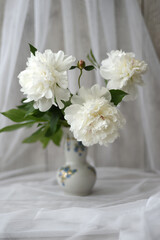 Bouquet of snow-white peonies in a vase against a white transparent drapery. Beauty!