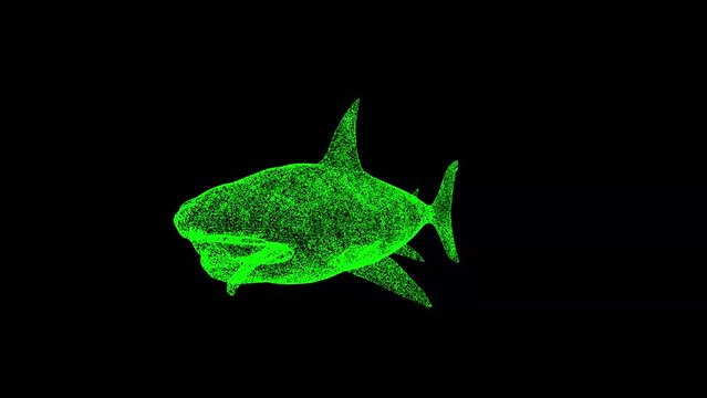3D Shark rotates on black background. Object made of shimmering particles. Wild animals concept. Protection of the environment. For title, text, presentation. 3d animation 60 FPS