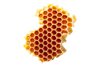 Honeycomb with honey drop transparent png