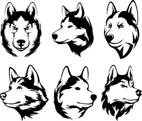 Heads of dogs. Wolf abstract character illustrations. Graphic image  of husky design template for emblem. Image of portraits.
