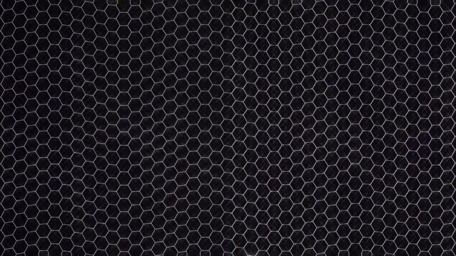 3D Abstract shining bright lines set wave, colorful, black background	