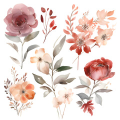 Watercolor vector flowers set. Hand painted floral illustration isolated on white background.