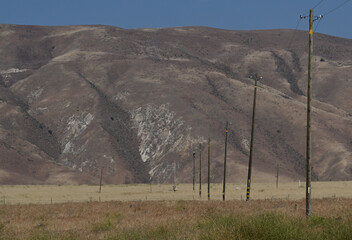 Rural telephone poles in field.