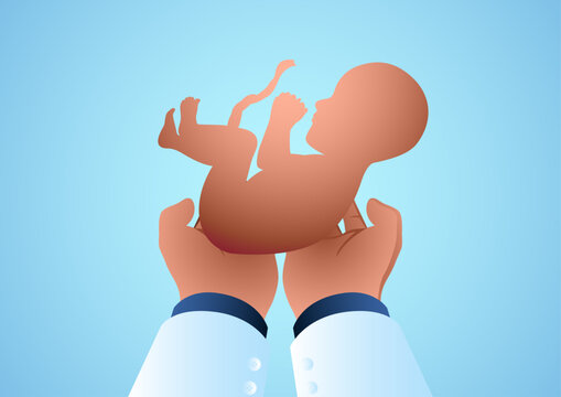 Vector illustrations of a doctors hand holding a fetus, childbirth, obstetrician, abortion concept