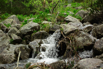 Serene mountain stream flowing peacefully