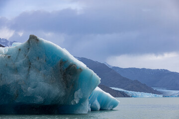 Iceberg at Upsala Glacier