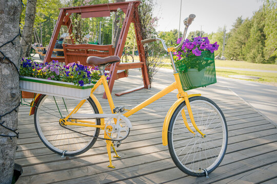 yellow ladies vintage bicycle with flower boxes for decorating streets