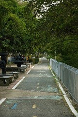 a path in the park