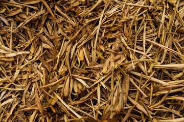 Textura de pasto seco amarillo con tierra agrupado, se utiliza luz natural, fue tomada durante la tarde.