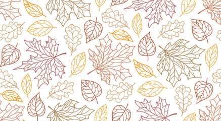 Autumn pattern with autumn leaves.