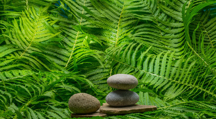 zen stones on green background for product presentation podium background.beautiful stones on fern...