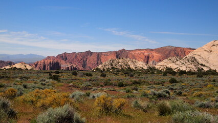White and red sand stone landscape in Utah