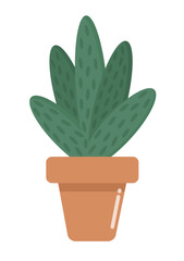 Color flat vector illustration in cartoon style. Cactus and succulent in flower pot. House plants isolated on a white background. Trendy home decor for stickers