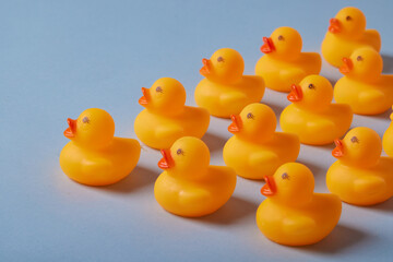 toy ducks on a blue background