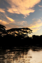 sunset over the river