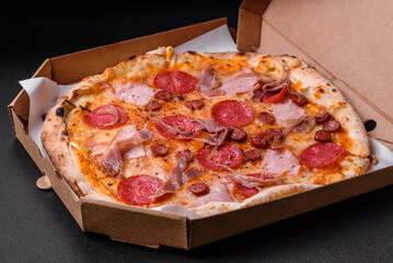 Delicious fresh oven baked pizza with salami, meat, cheese, tomatoes