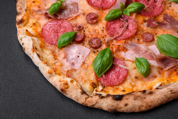Delicious fresh oven baked pizza with salami, meat, cheese, tomatoes