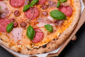 Delicious fresh oven baked pizza with salami, meat, cheese, tomatoes