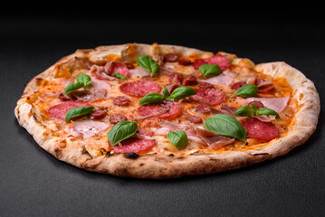 Delicious fresh oven baked pizza with salami, meat, cheese, tomatoes