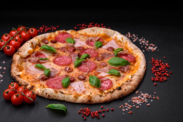 Delicious fresh oven baked pizza with salami, meat, cheese, tomatoes