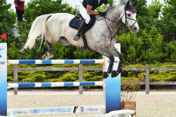 saut d'obstacle dans un concours hippique