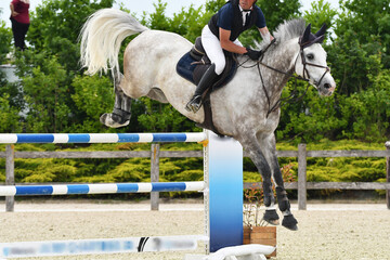 saut d'obstacle dans un concours hippique © compagnie-17