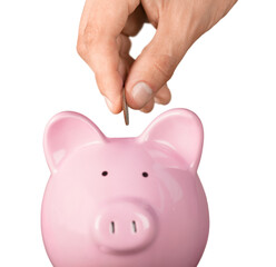 Hand Putting a Coin in Piggy Bank