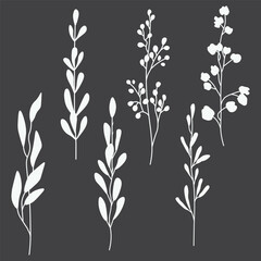 Fototapeta na wymiar Vector set of plant and leaf silhouettes, Vector isolated on dark background for invitation, greeting card, date saving, for patterns and prints