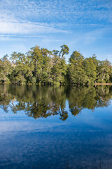 Fototapeta na wymiar reflection of trees in water