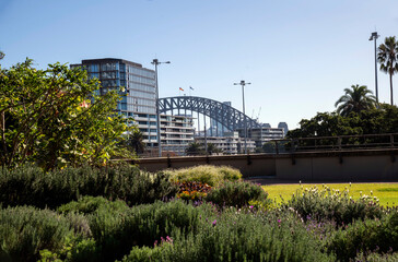 Sydney Harbour Bridge from Royal Botanic Garden