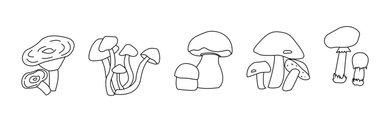 Mushroom Set Line Art Logo
