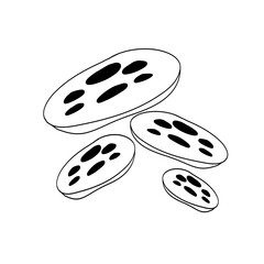 thin line vector icon set Food