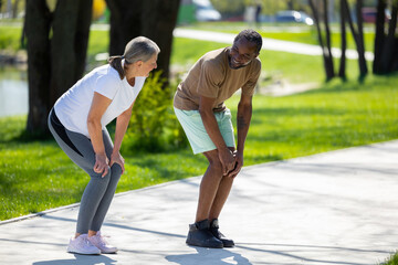 Couple exercising in the park and doing squats