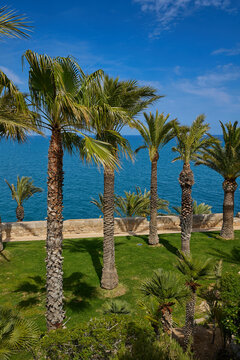 View of the Mediterranean Sea from the garden in the medieval castle of Peniscula.