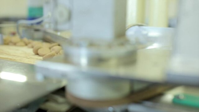dolly close up shot of conveyor line with half-round cookies in a chocolate factory