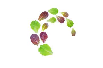 Spiral flying heap of lettuce salad purple and green leaves isolated transparent png
