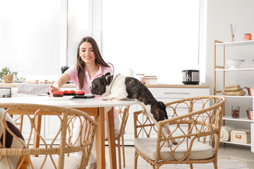 Young woman with her French bulldog eating muffin in kitchen