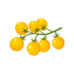 Yellow tomatoes cherry. Farm fresh tomato branch. Vector illustration in trendy flat style isolated on white background.