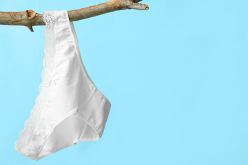 Female panties hanging on tree branch against color background