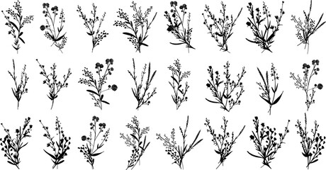 Silhouettes botanic blossom floral elements. Big set branches, leaves, herbs, wild plants, flowers. Garden, meadow, feild collection leaf, foliage. Vector illustration isolated on white background