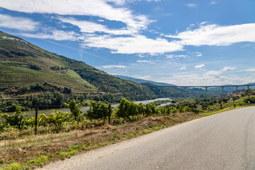 Vista da vila da Régua no Douro Portugal