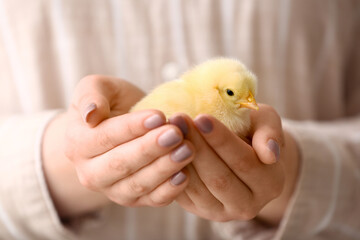 Beautiful young woman holding cute yellow chick © Pixel-Shot