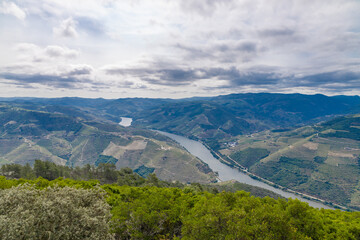 Obraz premium O Douro Visto do Miradouro de São Leonardo em Galafura