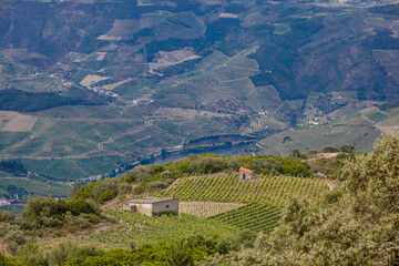 Vista da vila da Régua no Douro Portugal