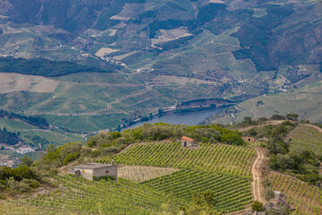 Vista da vila da Régua no Douro Portugal